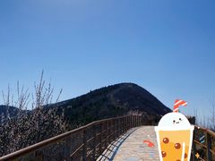 -定都峰