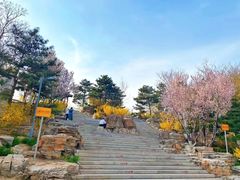 -大兴滨河森林公园