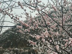 -妙峰山风景名胜区