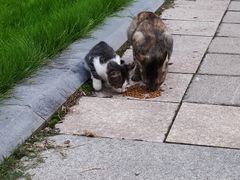 -东华大学(松江校区)