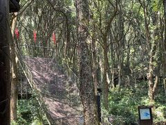 -富春桃源风景区