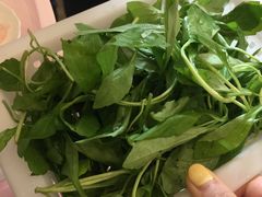 -正能量脆肉鲩火锅