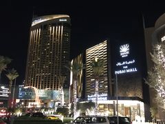 -迪拜水族馆及水下动物园