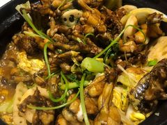 -众悦夜郎蛙美食餐厅(太原南街店)
