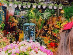 -桂林市花鸟市场