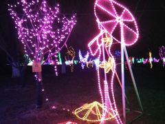 -济南国际园博园