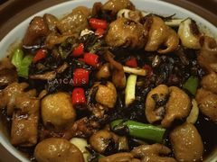 红烧肥肠-季家厨房(长江东大街店)