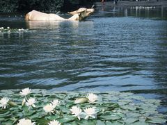 -西湖天地