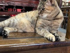 -协和菜馆(凤凰街店)