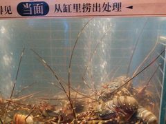 -雍容荟帝王蟹活龙虾展台自助(IFS黑金店)