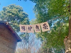 -香雪海