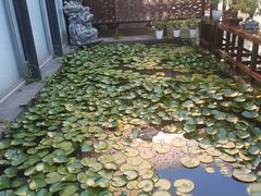 -陈家山荷花公园
