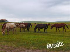 -莫日格勒旅游景区