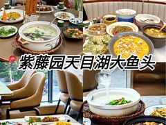 -紫藤园·天目湖大鱼头(南山竹海店)