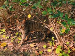 -苏州河梦清园环保主题公园