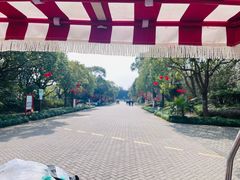 -上海海湾国家森林公园