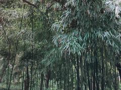 -赭山公园