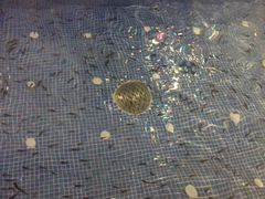 -水晶之星洗浴温泉汗蒸