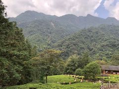 -姑婆山旅游区