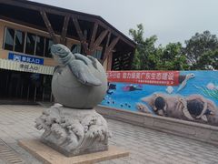 -广东惠东海龟国家级自然保护区