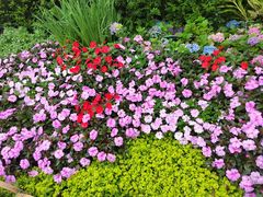 -庐山风景区花径公园