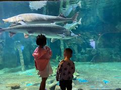 -华夏文旅海洋公园