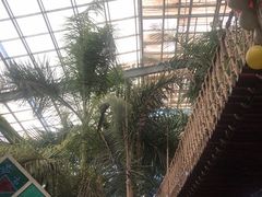-呀路古热带植物园