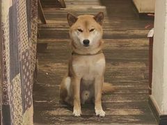 -三目仓咖啡(贤南路店)