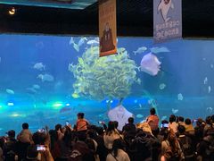 -华夏文旅海洋公园