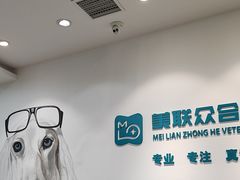 -美联众合动物医院·24h转诊中心