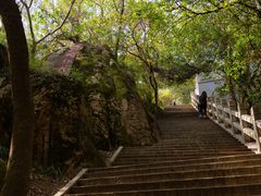 -灵岩山风景区