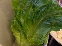 生菜-探牛东北烧烤·铁锅炖大鹅(深圳总店)