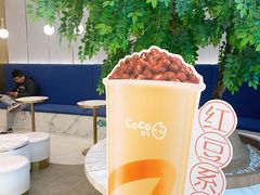 -CoCo都可(中联广场店)