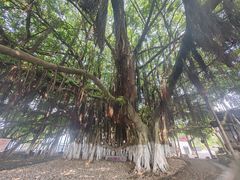 -胡里山炮台
