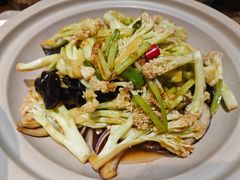 -鸽子窝(青塔店)