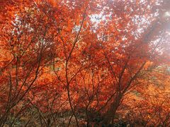 -南京市江宁方山