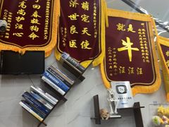 -半岛宠物医院24小时·内窥镜·牙科·碎石中心(府城大道店)