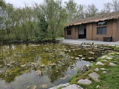 -溱湖国家湿地公园