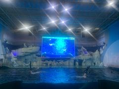 -福州罗源湾海洋世界旅游区