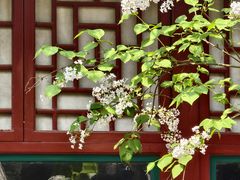 -北京鲁迅博物馆(北京新文化运动纪念馆鲁博馆区)