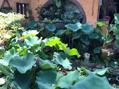 -园林美食城·本土农家菜(杨和镇店)