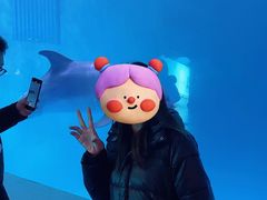 -蓬莱欧乐堡海洋极地世界