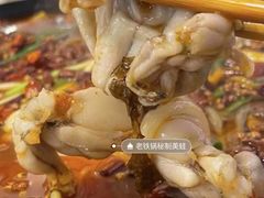 -鸿顺老铁锅美蛙鱼府(解放碑店)