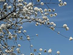 -上海辰山植物园