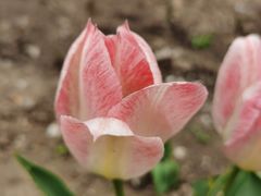 -长春公园(普阳街道)