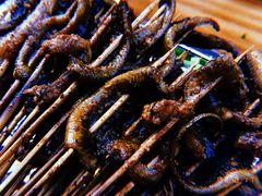 -晓靖轩烧烤(沙河风情店)