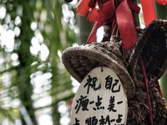-呀诺达热带雨林