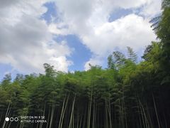 -山沟沟景区