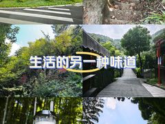 -树山生态村