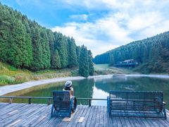 -武陵山森林公园